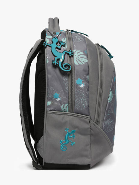 2-compartment Backpack Cameleon Gray actual PBBASD39 other view 2
