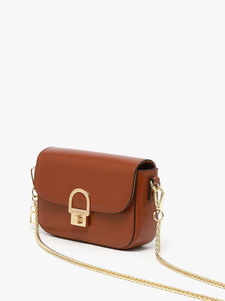 Crossbody Bag Altair Etrier Brown altair EALA134X other view 2