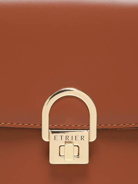 Crossbody Bag Altair Etrier Brown altair EALA134X other view 5