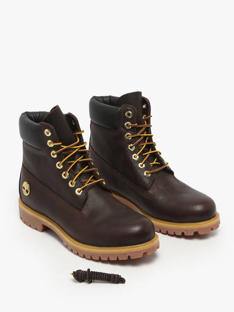 Bottines En Cuir Timberland Marron men 2P6WEXU1 vue secondaire 1